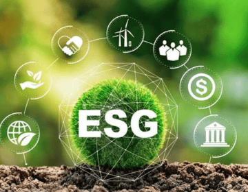 Environmental Audits (2)