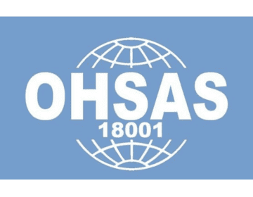 Management System Audits